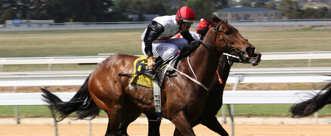 a competitive horse race