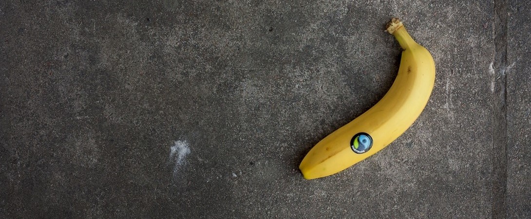 a single Fair Trade banana