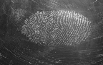 fingerprint trace