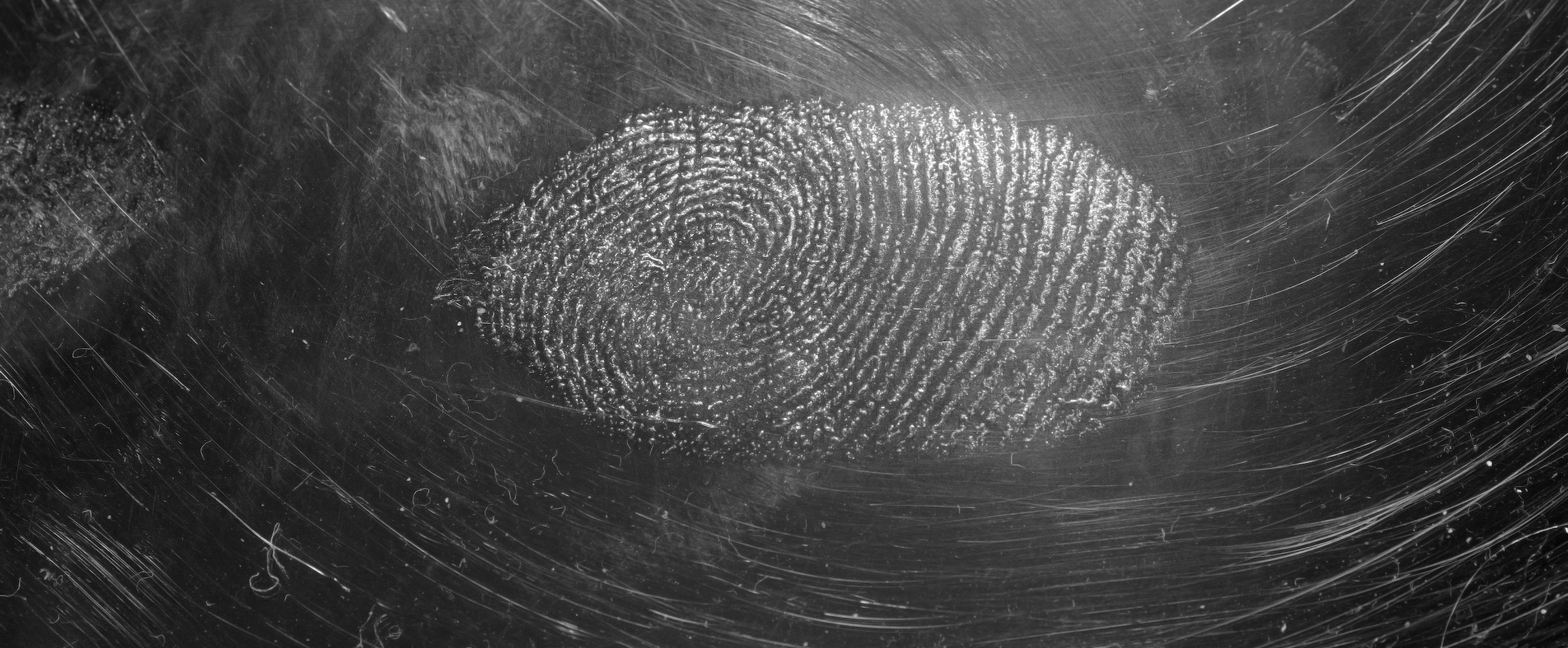 fingerprint trace