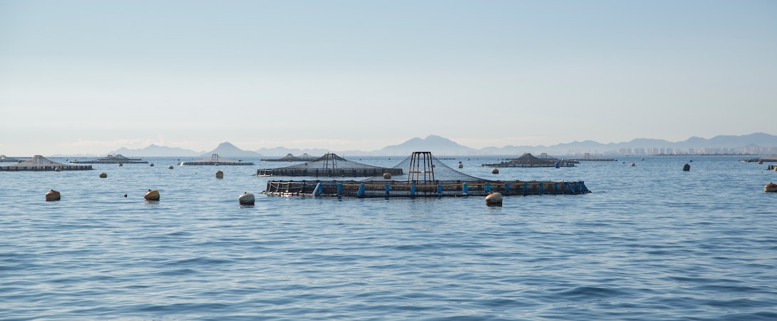 fish-farm-mountain-background
