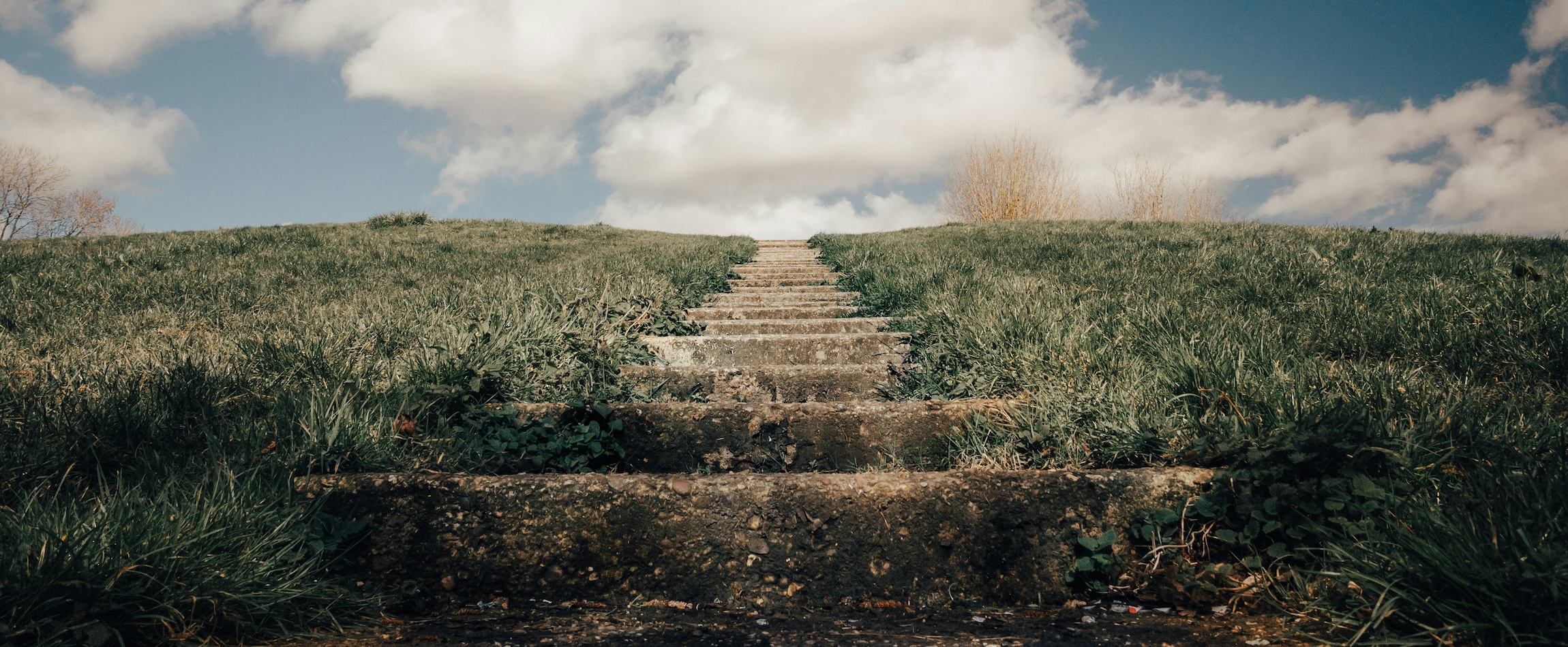 grassy staircase pathway