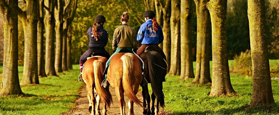 three horse riders going down a pathway