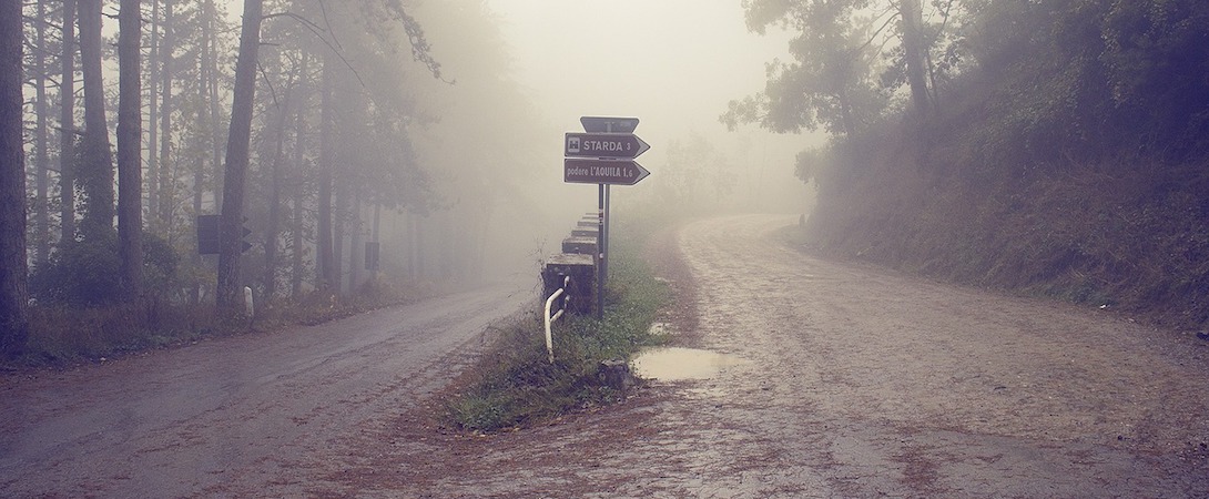misty crossroads with signposts in nature