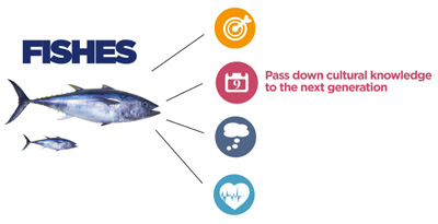 MeetFish