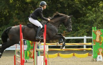 person competing in horse showjumping event Gloucester United Kingdom