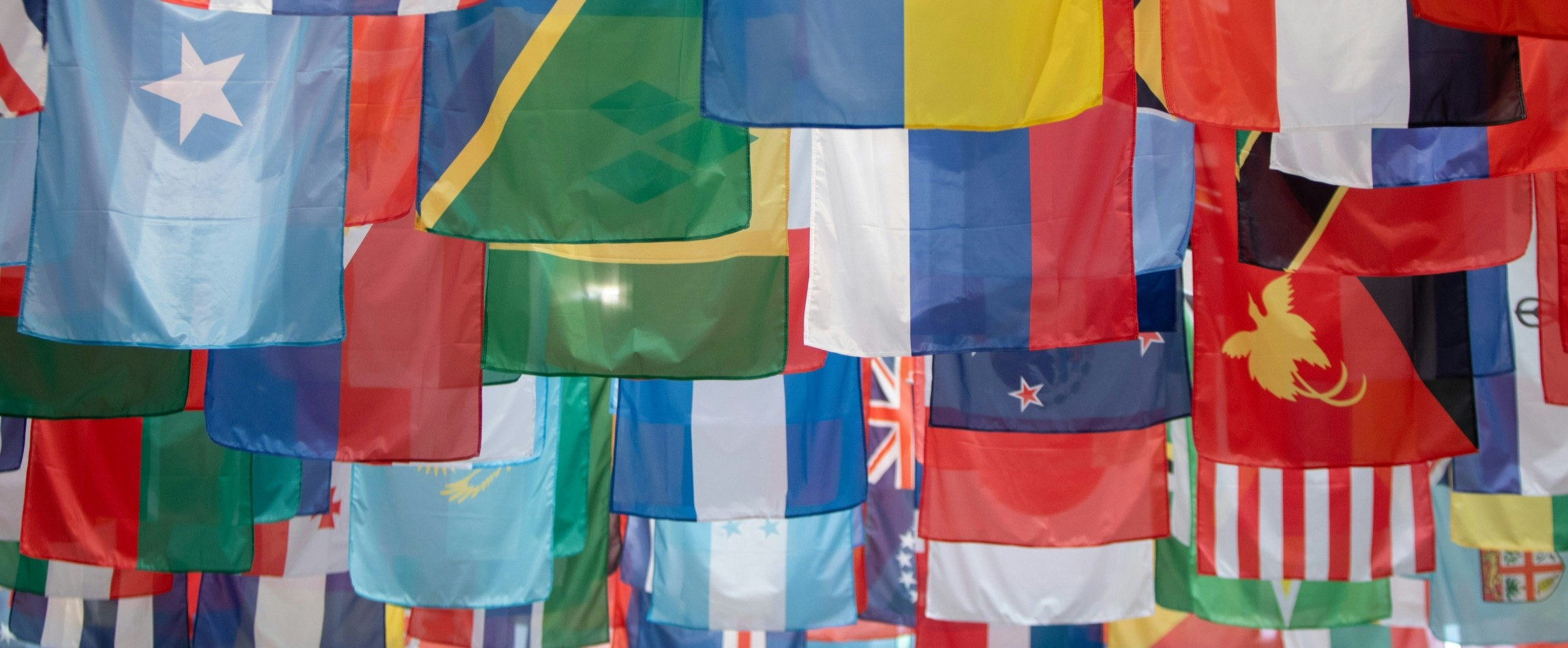 rows of flags UN FAO headquarters Rome Italy
