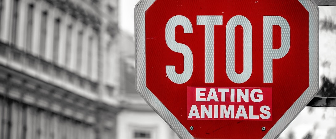 stop eating animals sign