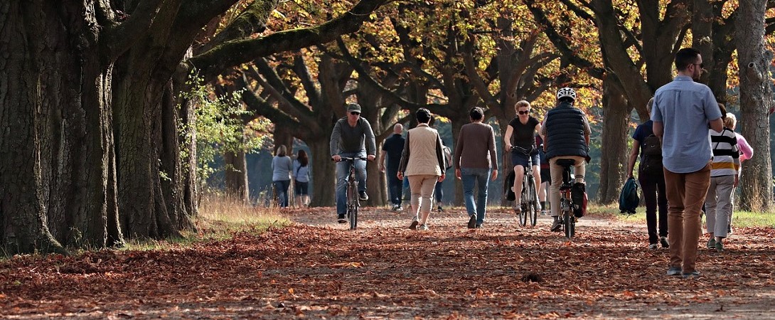 people walking in nature