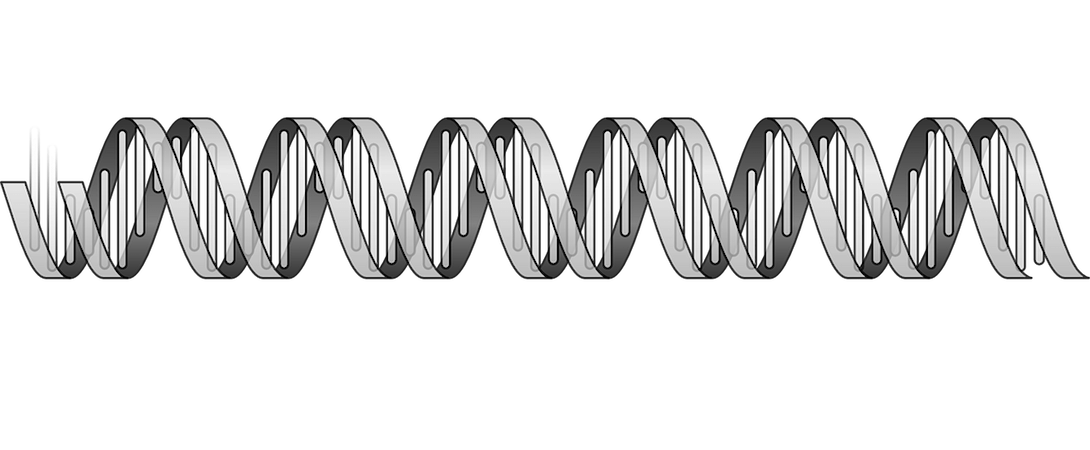 cartoon image of DNA helix structure
