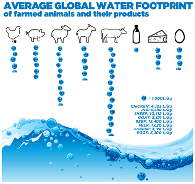 WaterUsage
